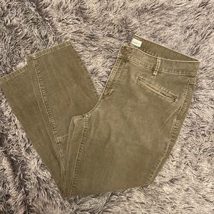 Olive drab corduroy Loft